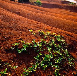 银河恶魔城新作《TEVI》新预告 第三季度发售