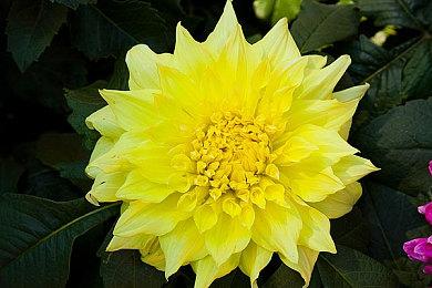 传闻：PSVR2的线材可更换 主机端使用USB-C